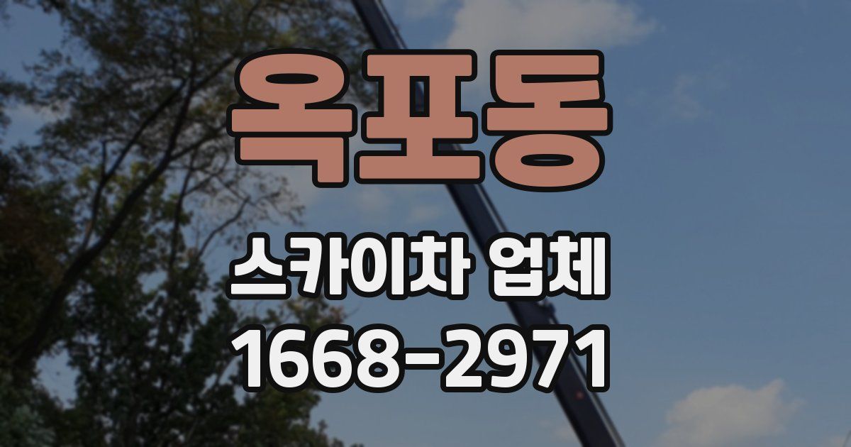 옥포동 스카이차 업체