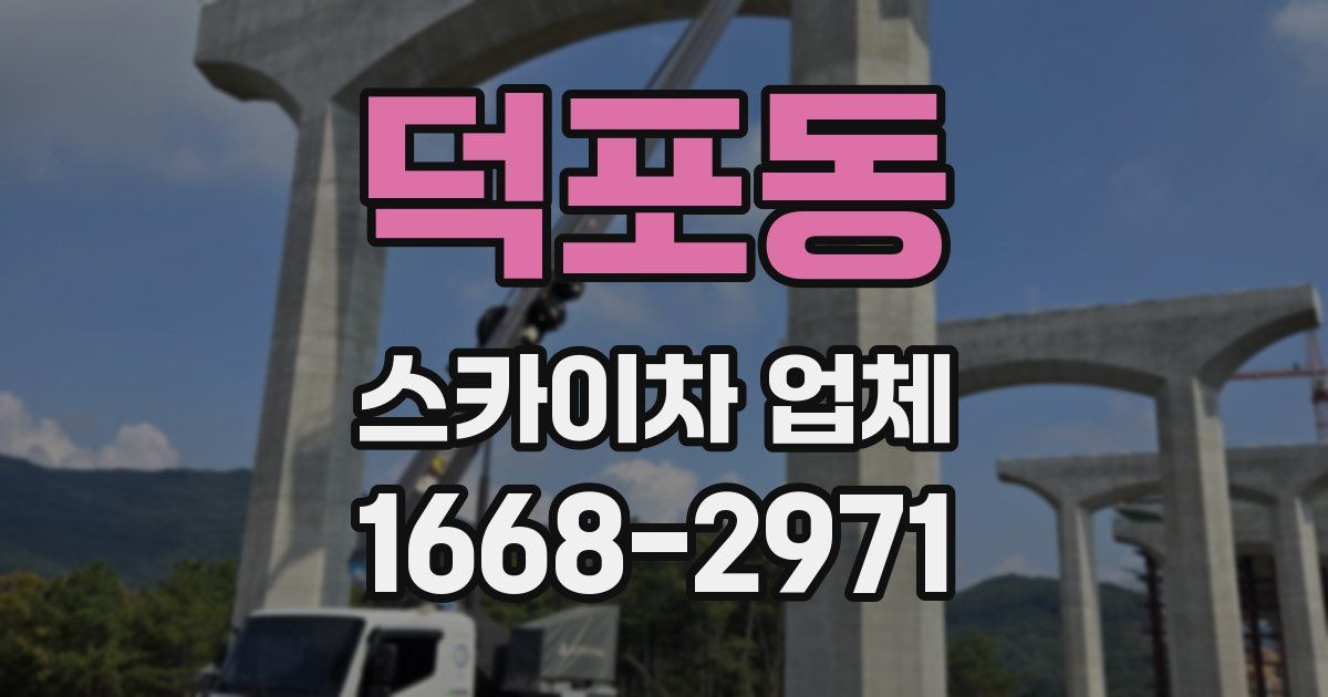 덕포동 스카이차 업체