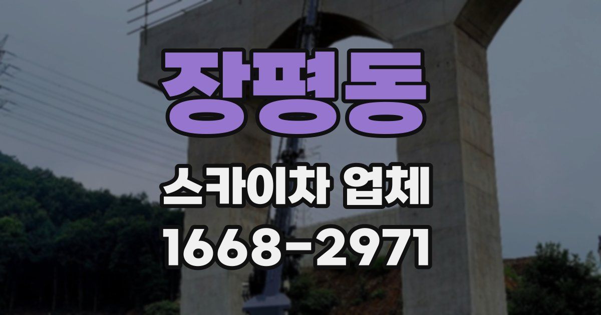 장평동 스카이차 업체