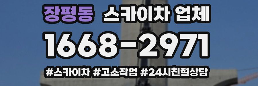 장평동 스카이차 업체