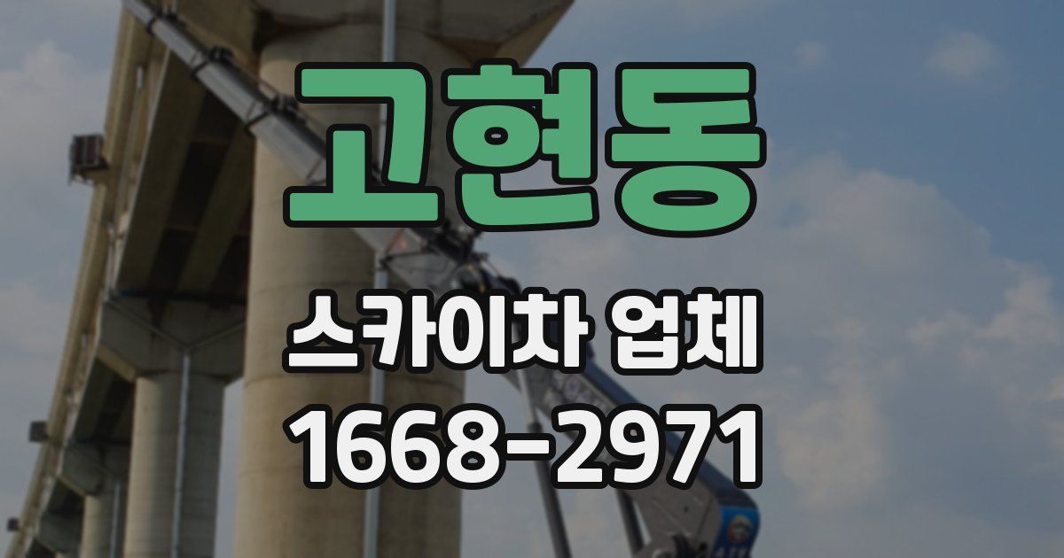 고현동 스카이차 업체