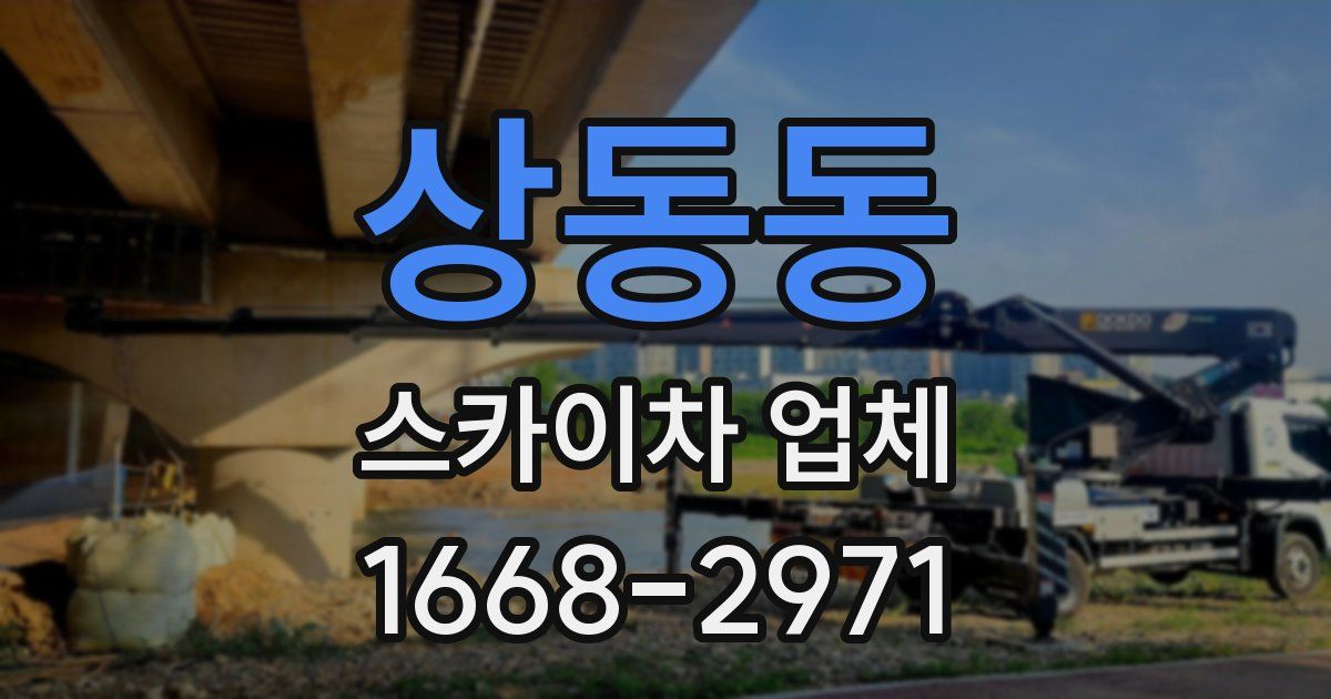상동동 스카이차 업체