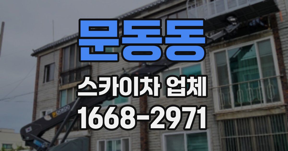 문동동 스카이차 업체