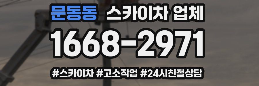 문동동 스카이차 업체