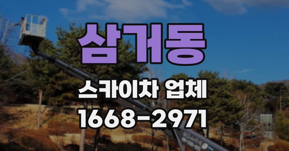 삼거동 스카이차 업체