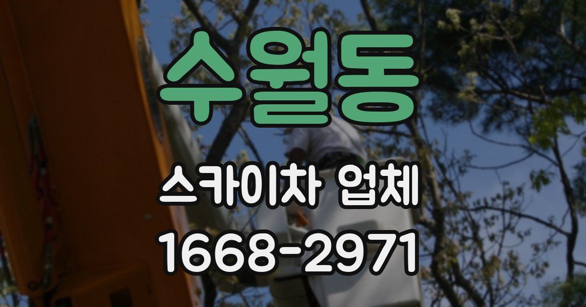 수월동 스카이차 업체