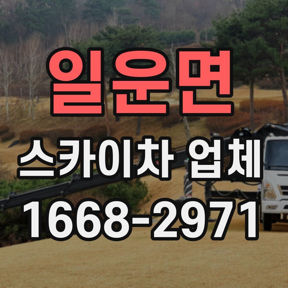 일운면 스카이차 업체