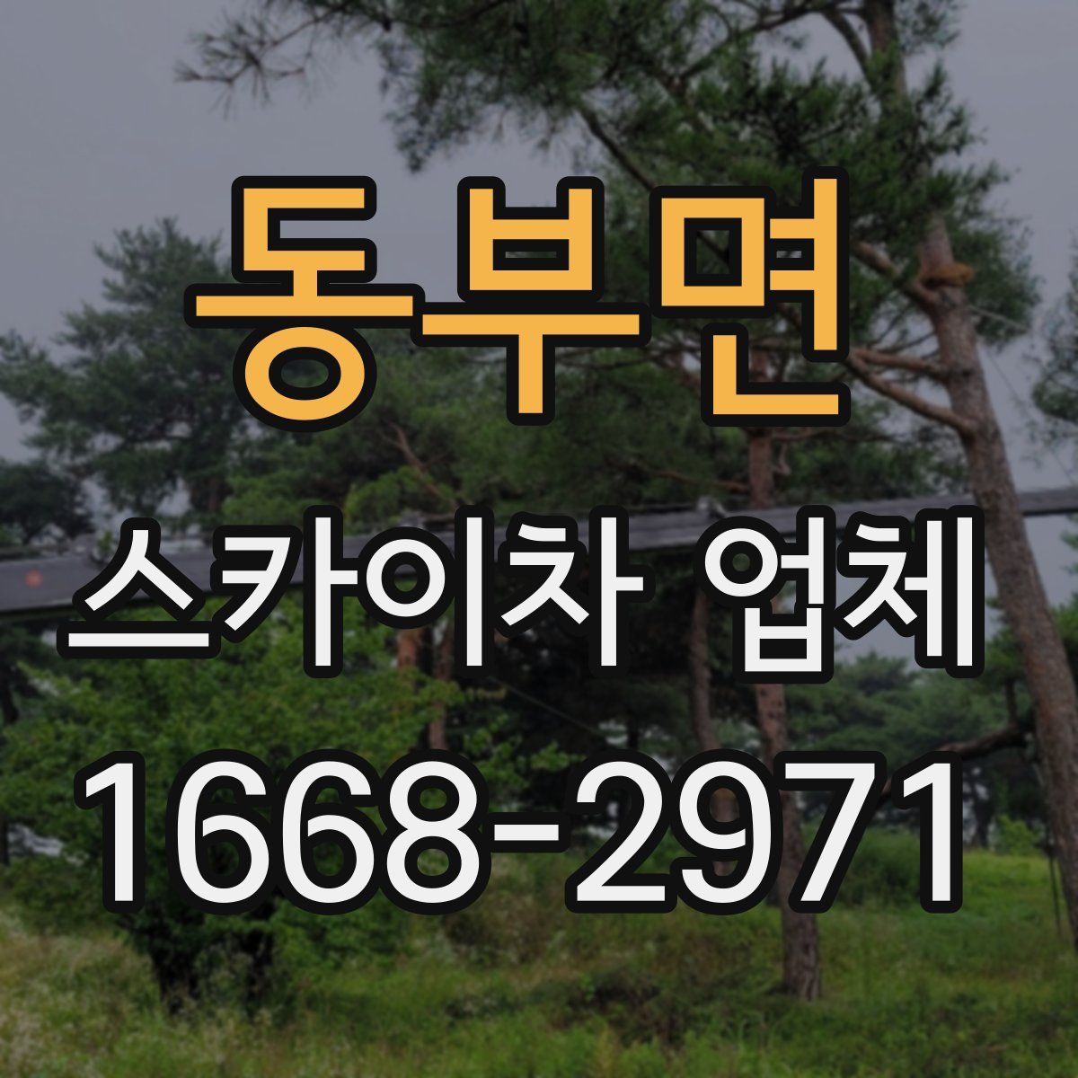 동부면 스카이차 업체