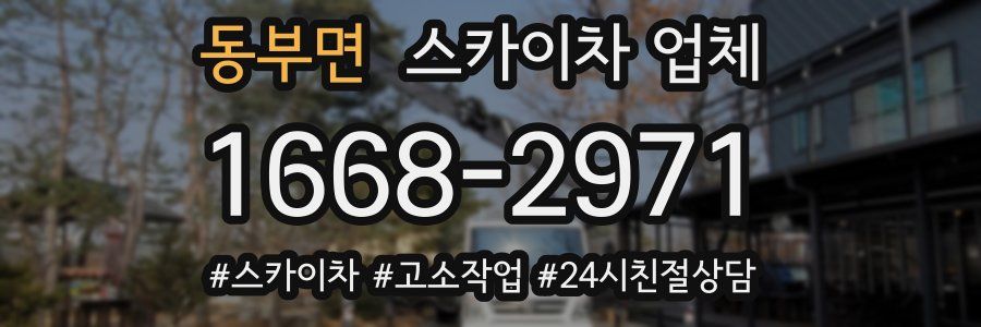 동부면 스카이차 업체