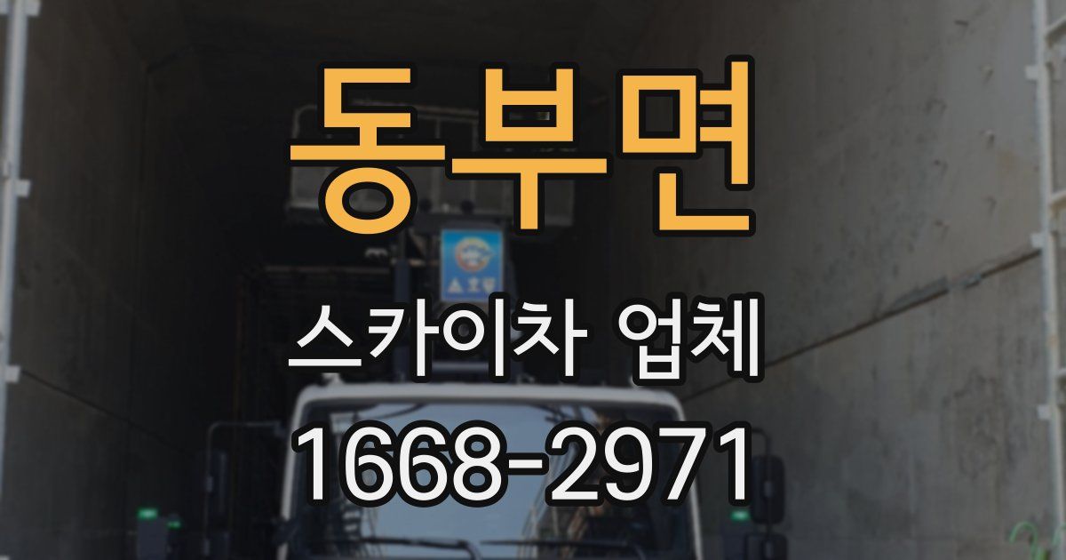 동부면 스카이차 업체