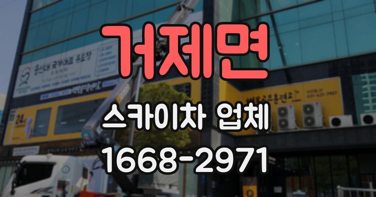 거제면 스카이차 업체
