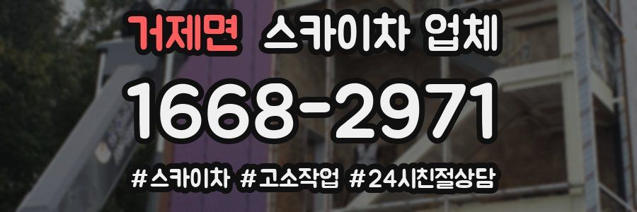 거제면 스카이차 업체