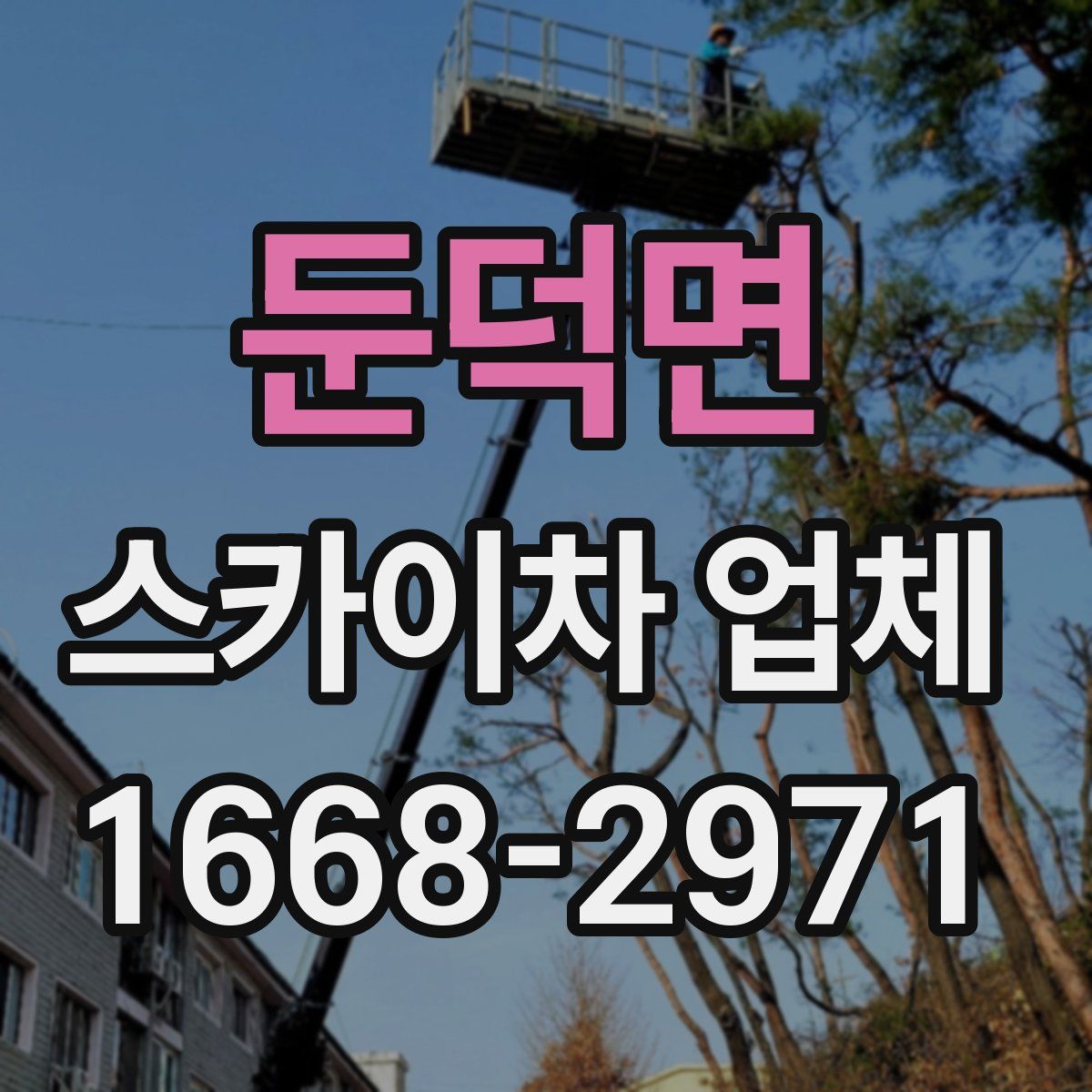 둔덕면 스카이차 업체