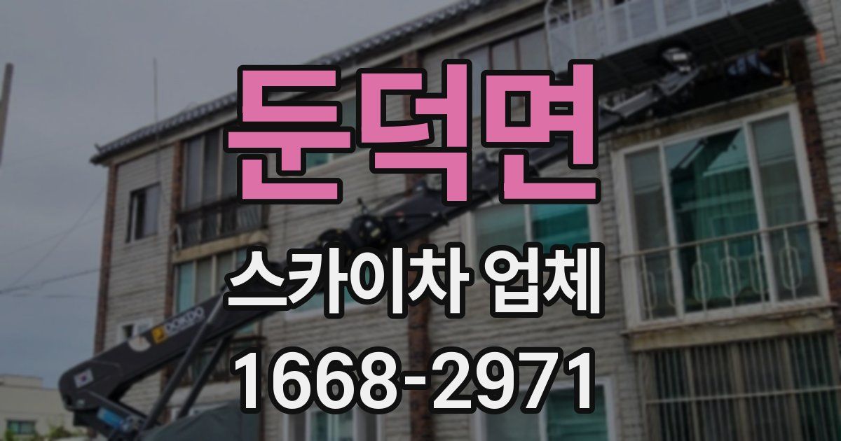 둔덕면 스카이차 업체