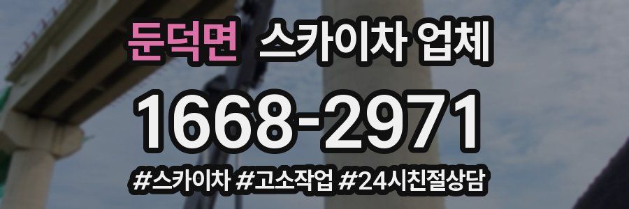 둔덕면 스카이차 업체