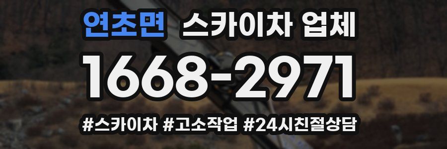 연초면 스카이차 업체