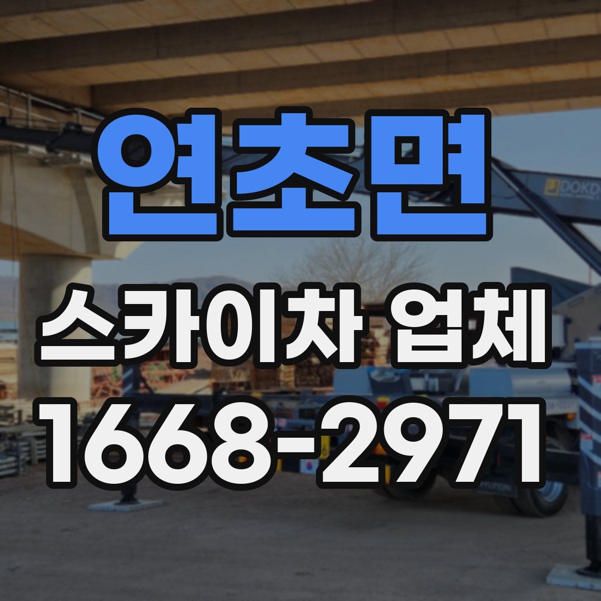연초면 스카이차 업체