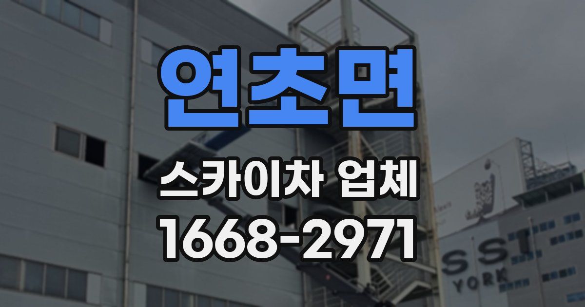 연초면 스카이차 업체