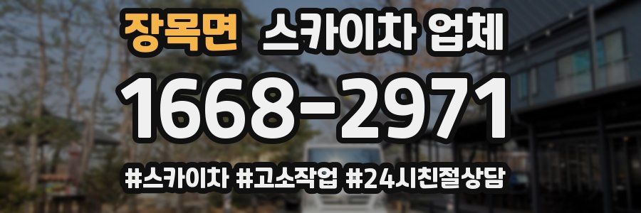 장목면 스카이차 업체