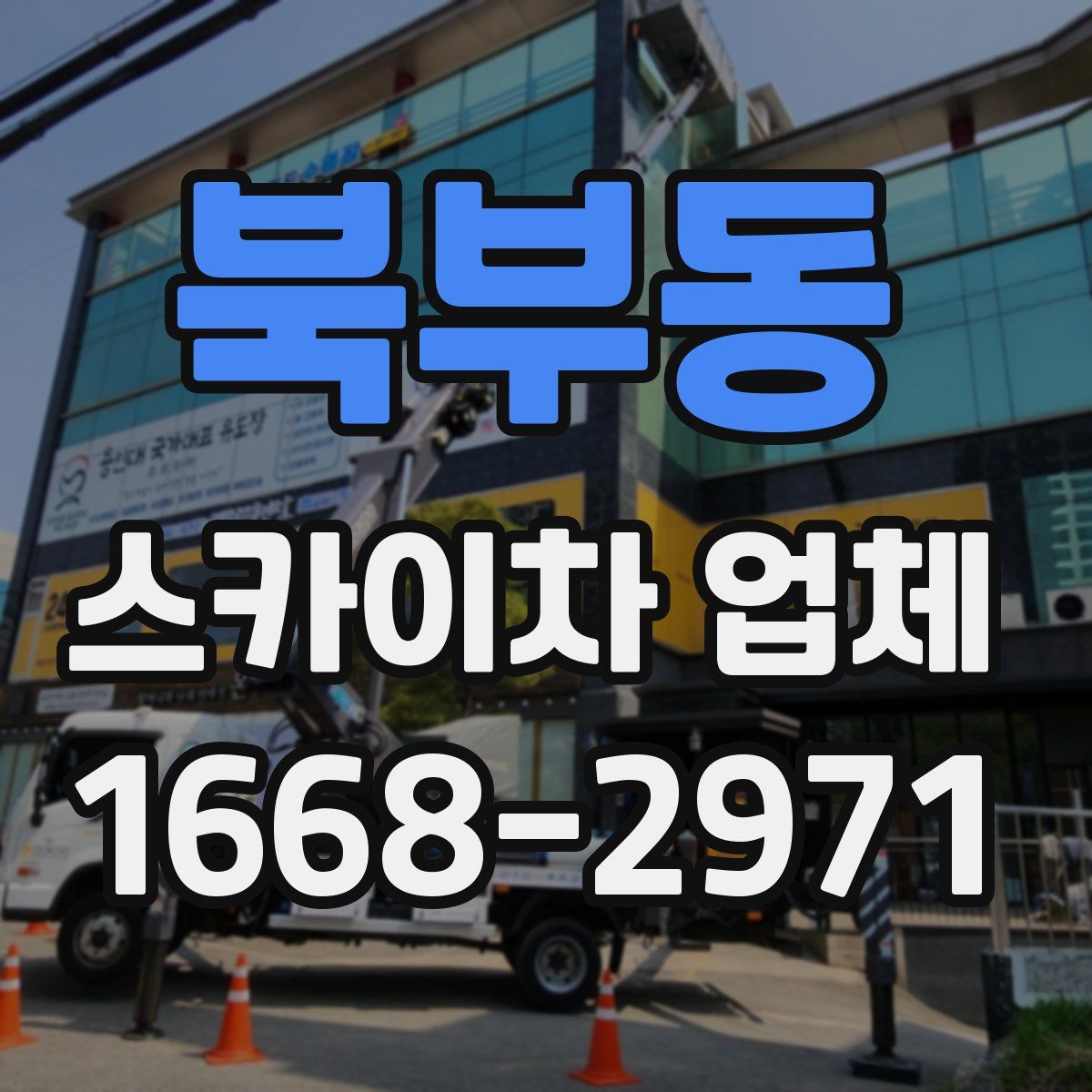 북부동 스카이차 업체