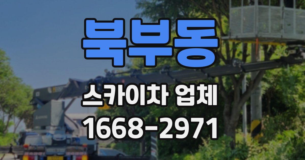 북부동 스카이차 업체