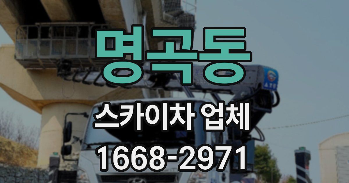 명곡동 스카이차 업체