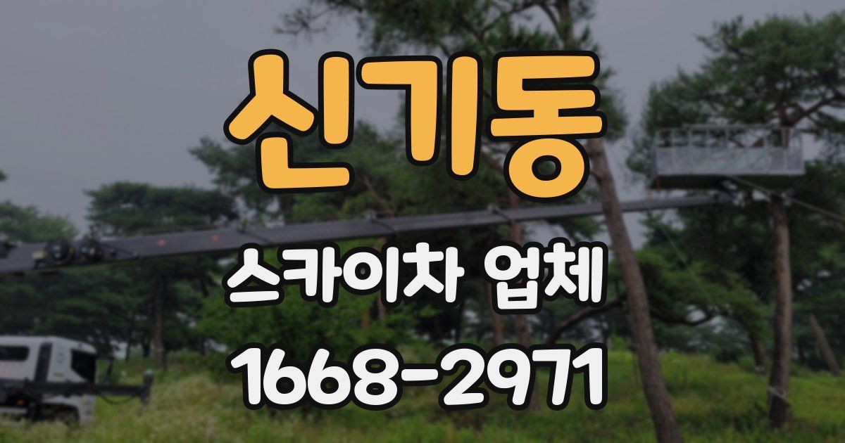 신기동 스카이차 업체