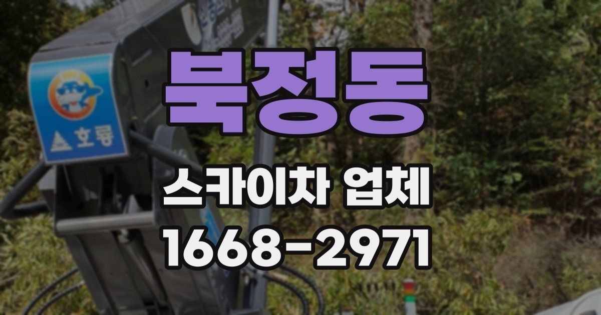 북정동 스카이차 업체