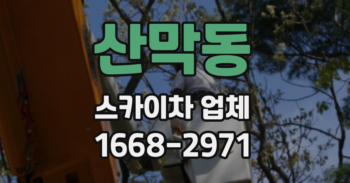 산막동 스카이차 업체