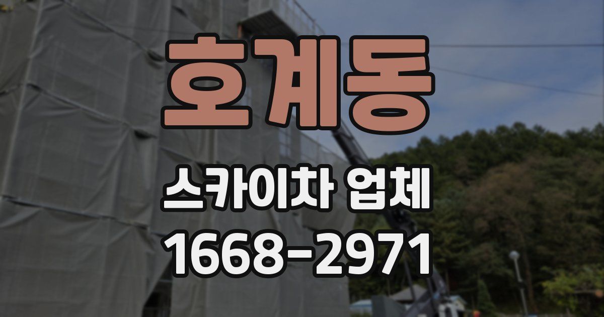 호계동 스카이차 업체