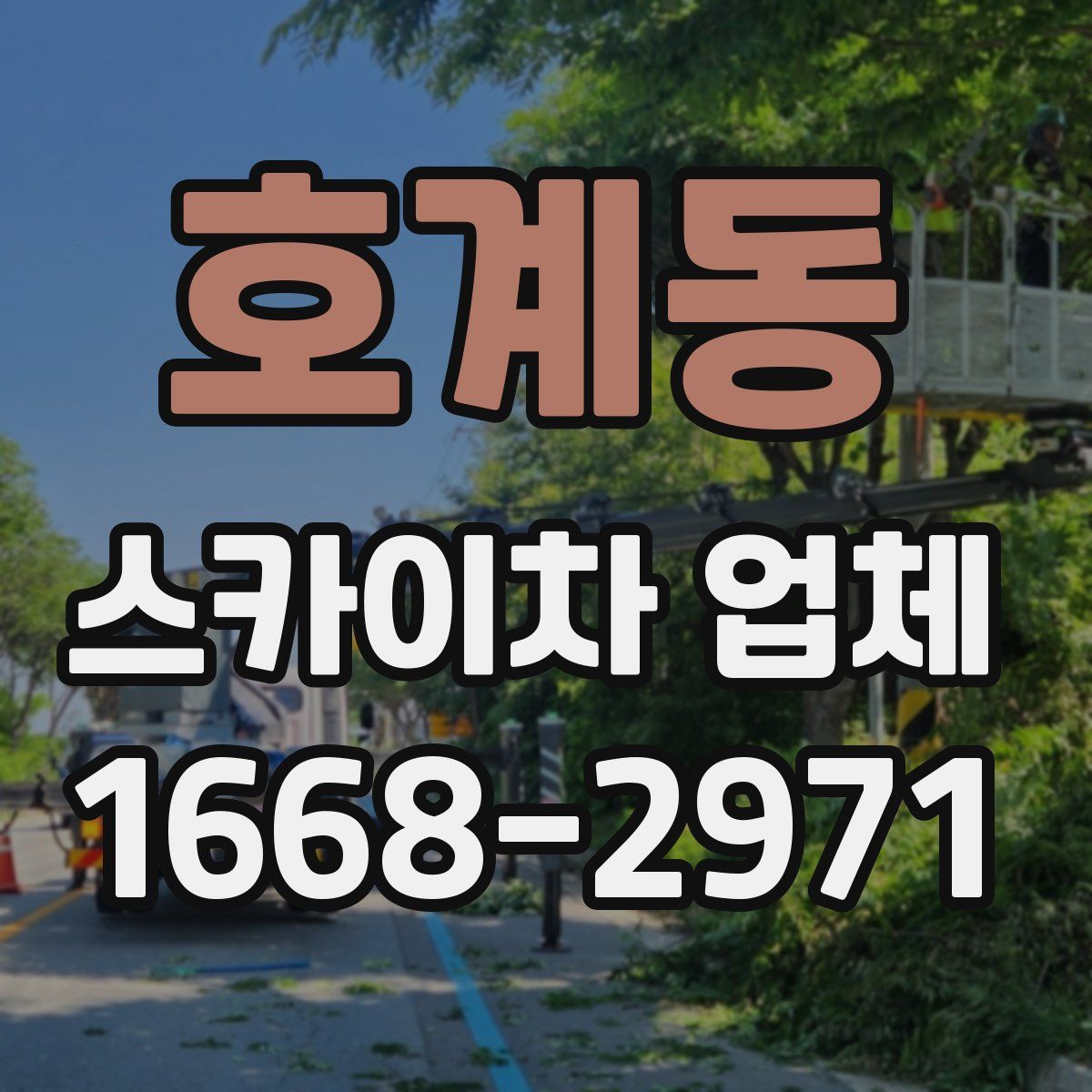 호계동 스카이차 업체