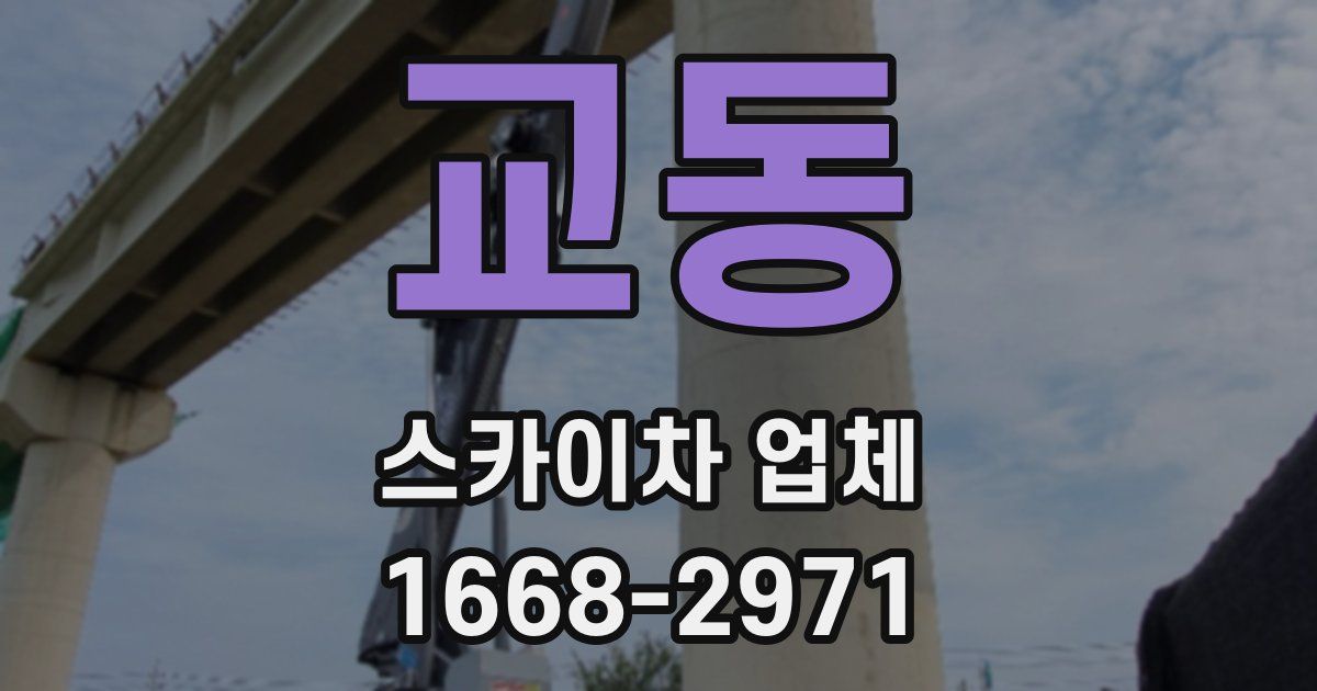 교동 스카이차 업체