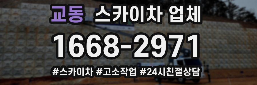 교동 스카이차 업체