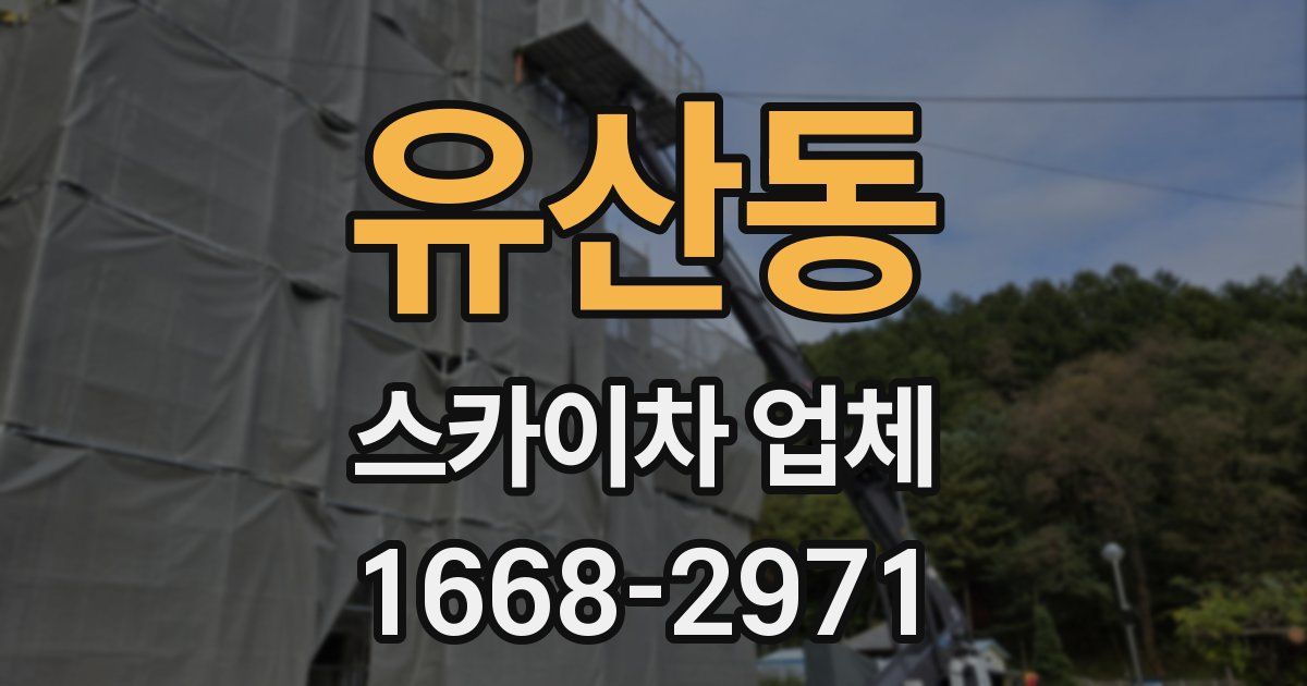 유산동 스카이차 업체