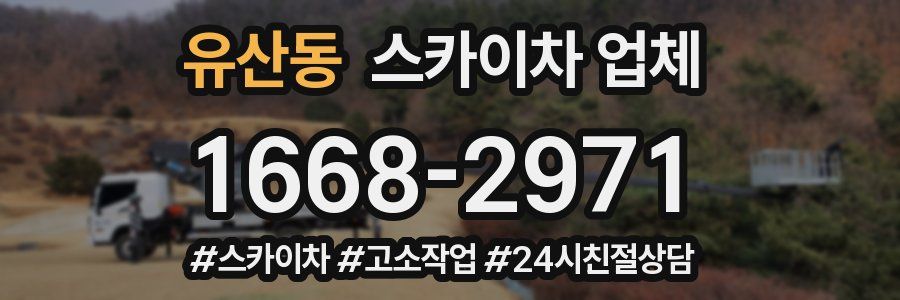 유산동 스카이차 업체