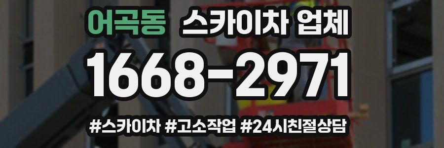 어곡동 스카이차 업체