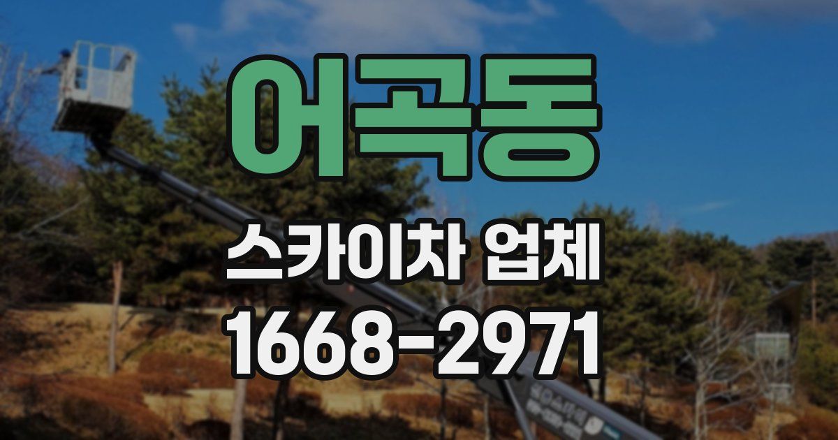 어곡동 스카이차 업체