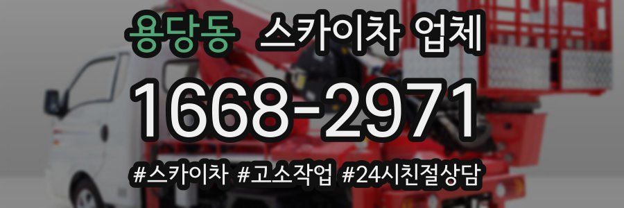 용당동 스카이차 업체