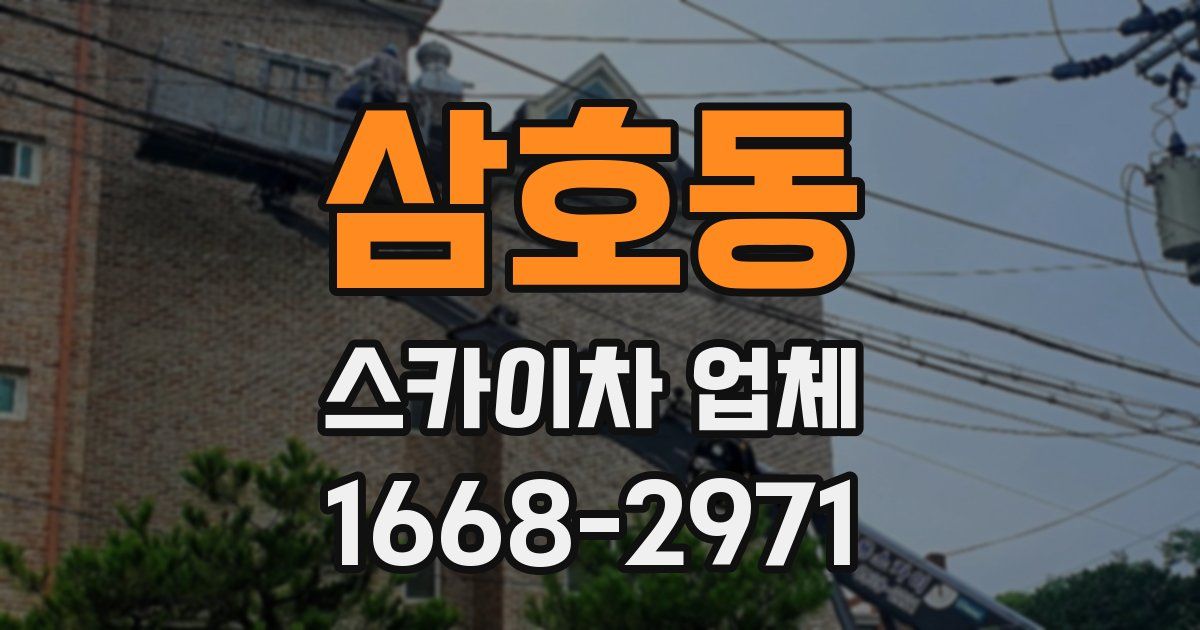 삼호동 스카이차 업체