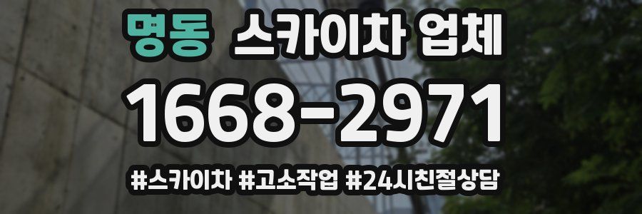 명동 스카이차 업체