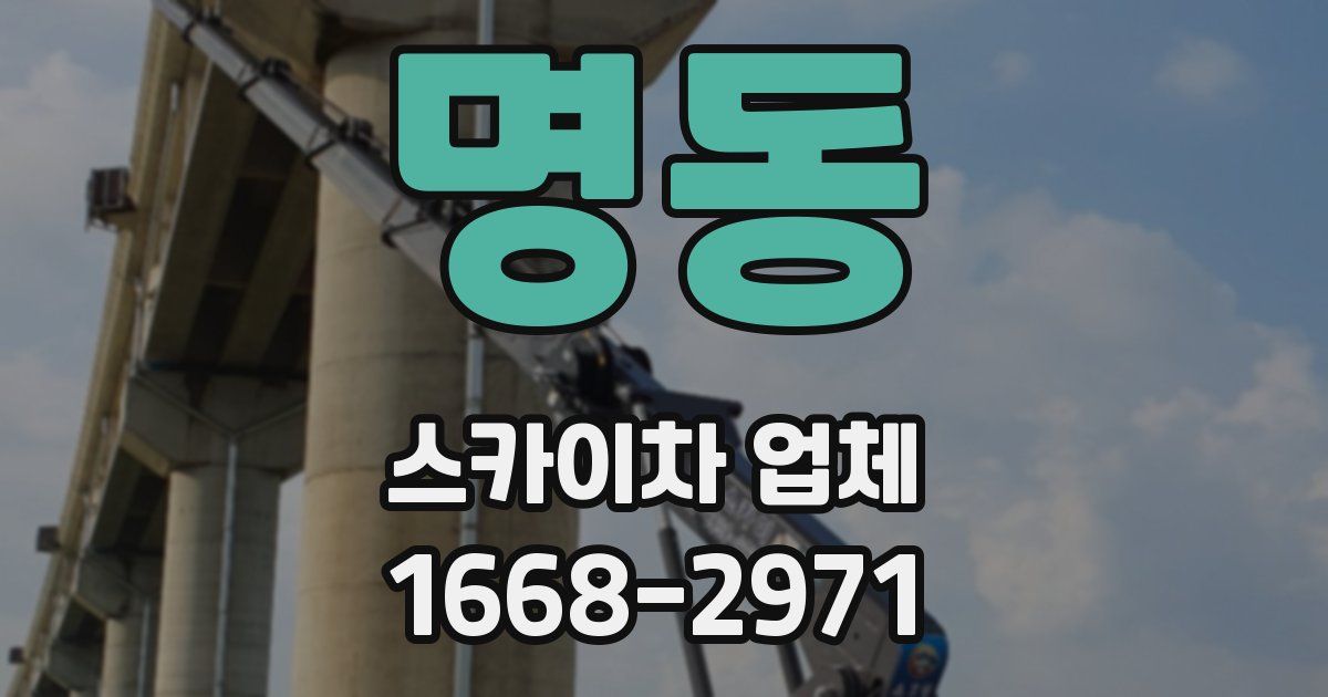 명동 스카이차 업체