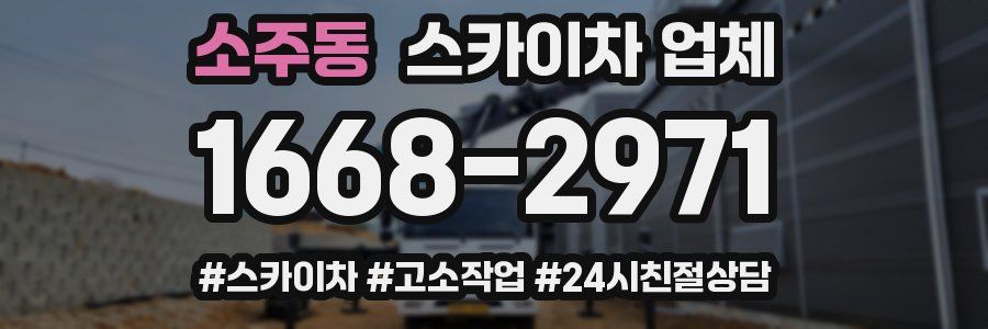 소주동 스카이차 업체