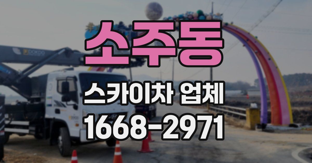 소주동 스카이차 업체