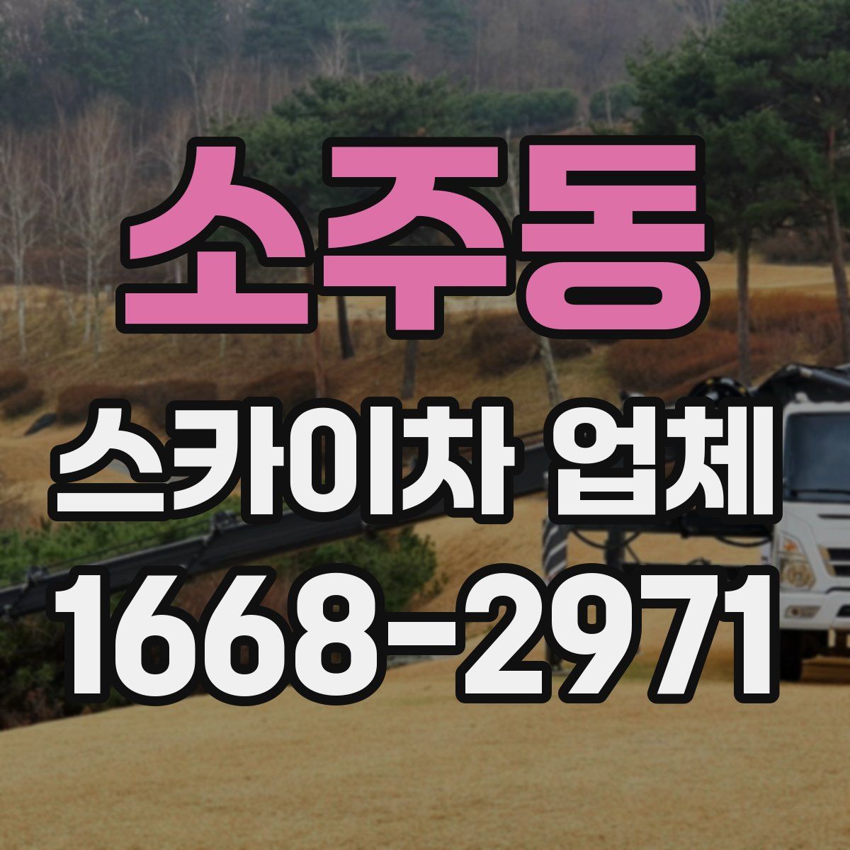 소주동 스카이차 업체