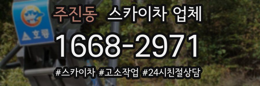 주진동 스카이차 업체