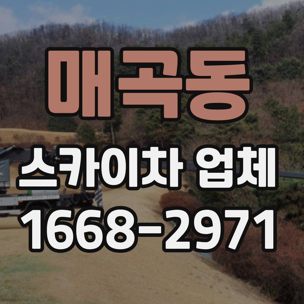 매곡동 스카이차 업체