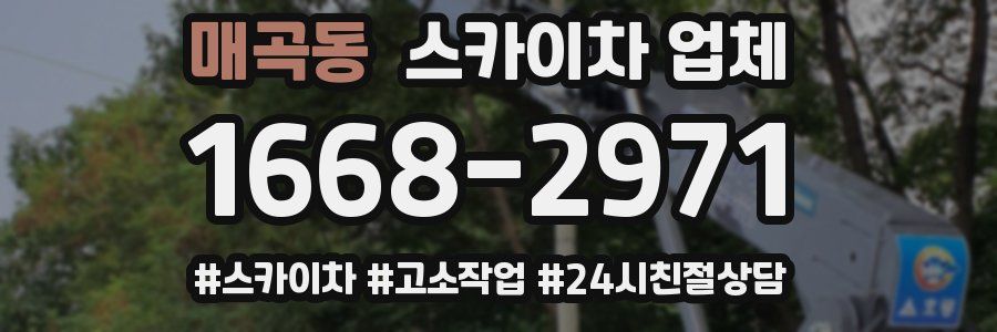 매곡동 스카이차 업체