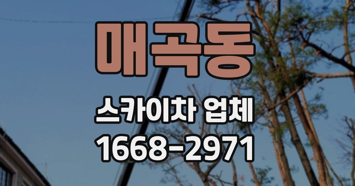 매곡동 스카이차 업체