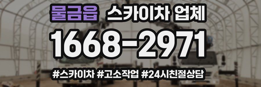 물금읍 스카이차 업체