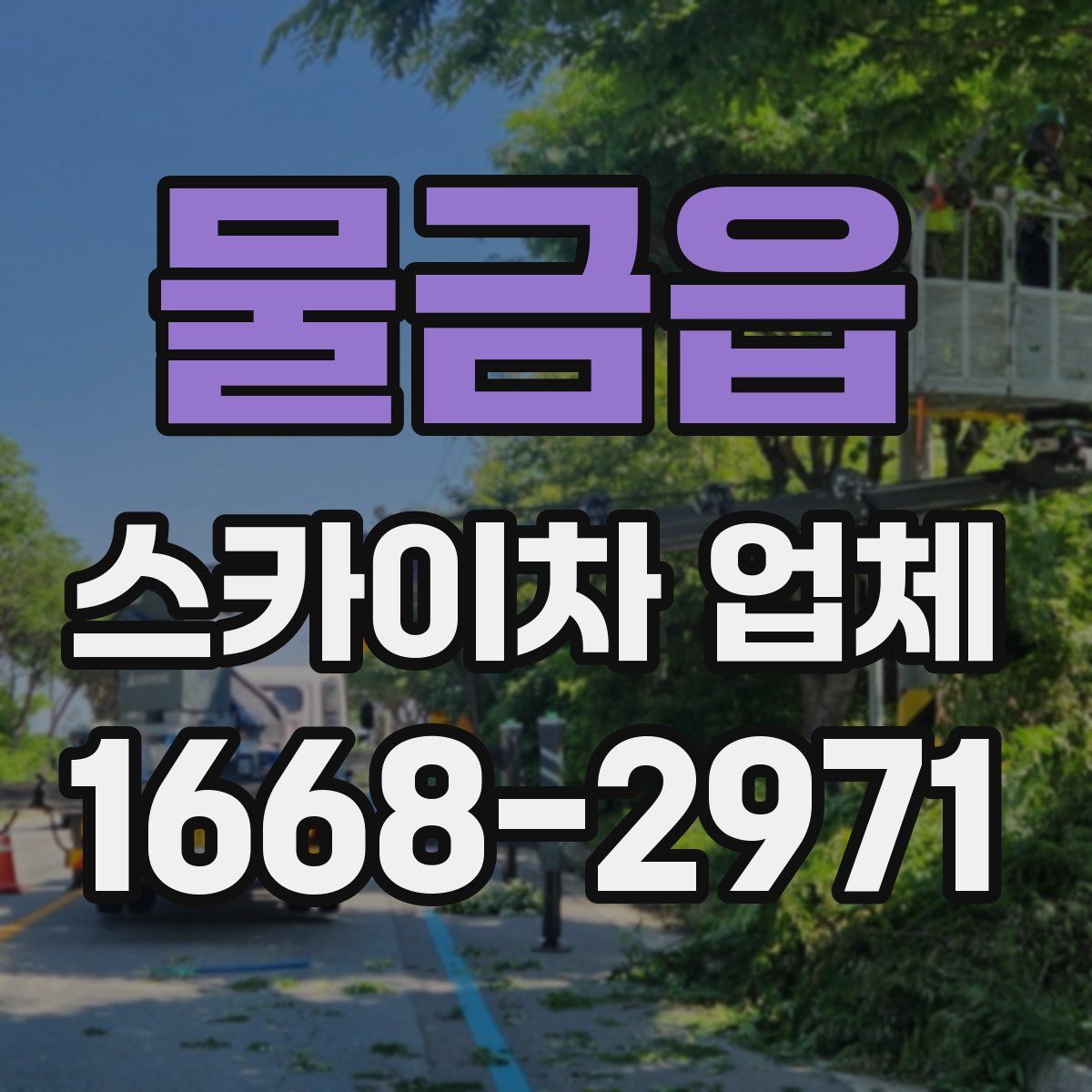 물금읍 스카이차 업체